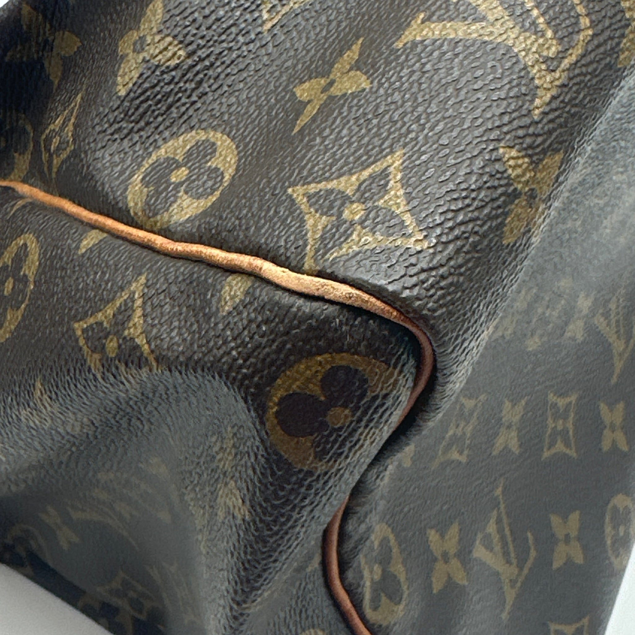 HandBag Luxury Designer Louis Vuitton, Size Large
