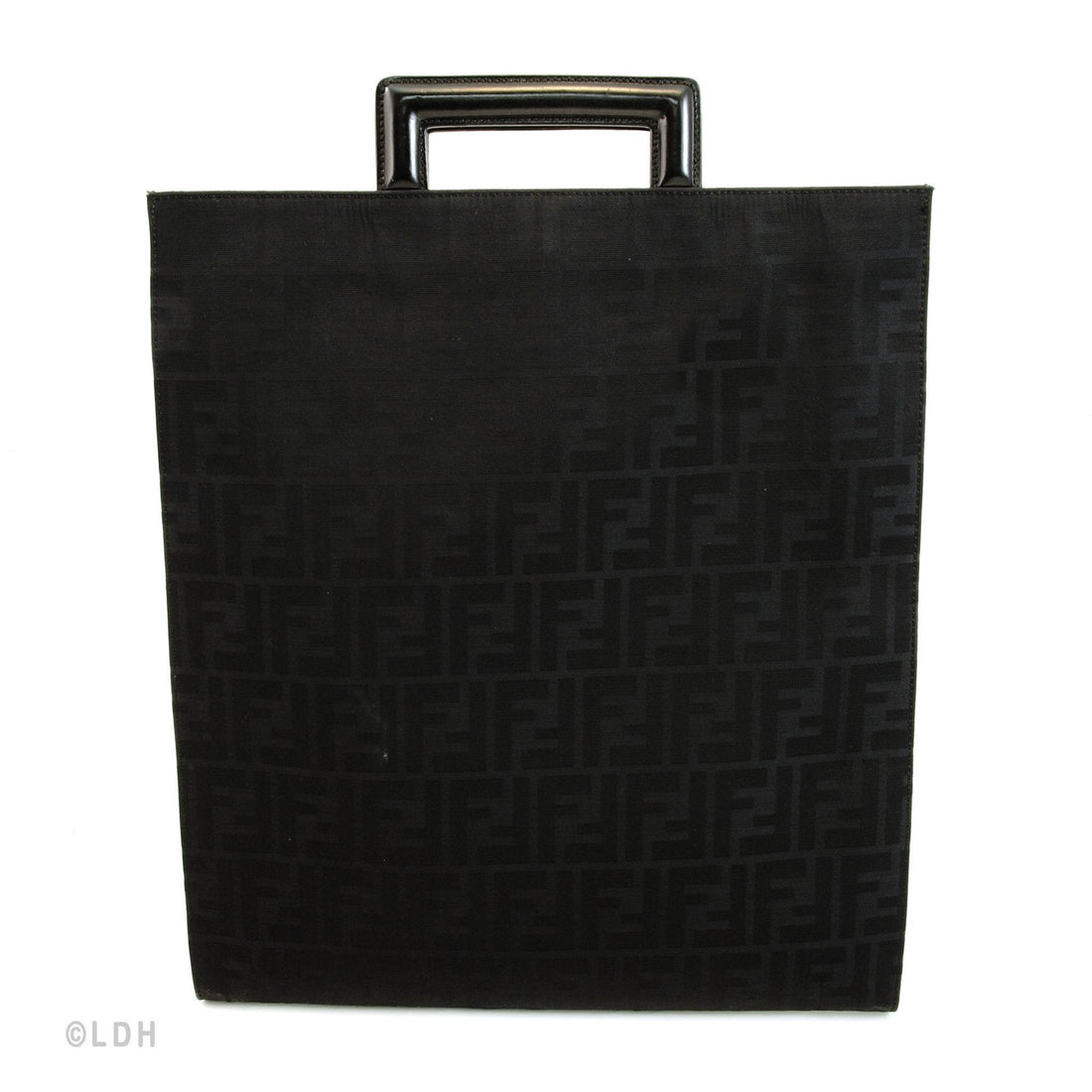 Fendi Tote (Indistinguishable)