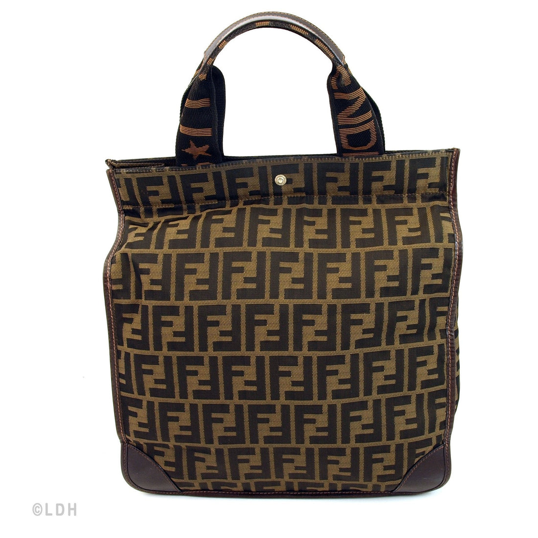 Fendi Tote (Indistinguishable)