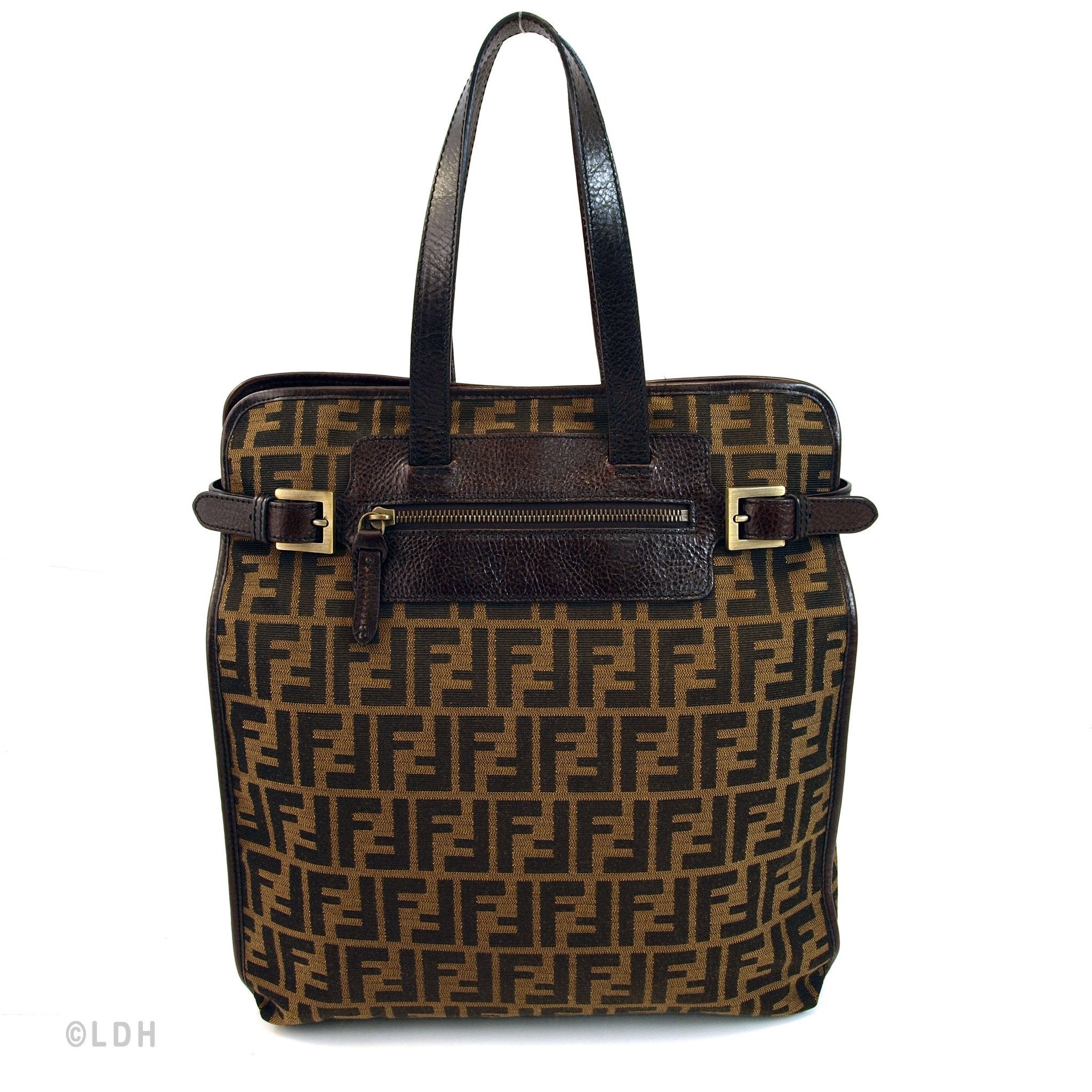 Fendi Zucca Tote (Indistinguishable)