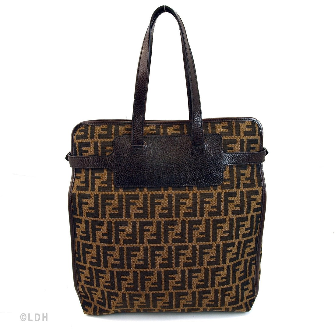 Fendi Zucca Tote (Indistinguishable)