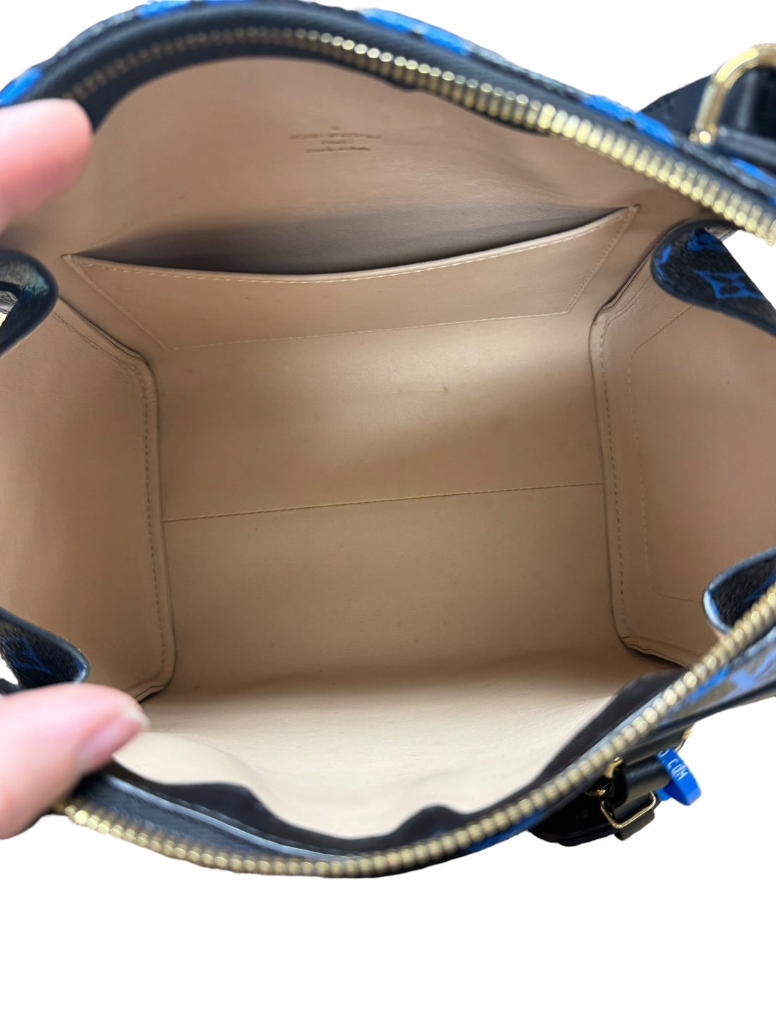 HandBag Luxury Designer By Louis Vuitton, Size: Medium