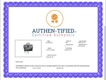 HandBag Luxury Designer By Louis Vuitton, Size: Medium