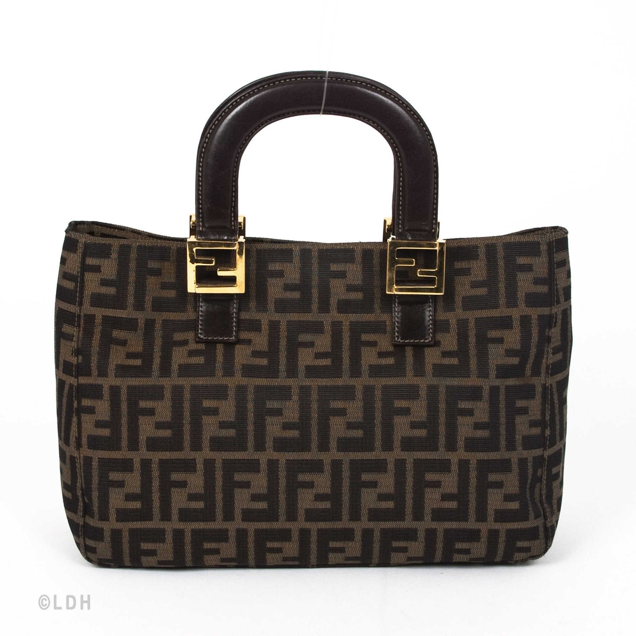 Fendi Zucca Tote (Indistinguishable)