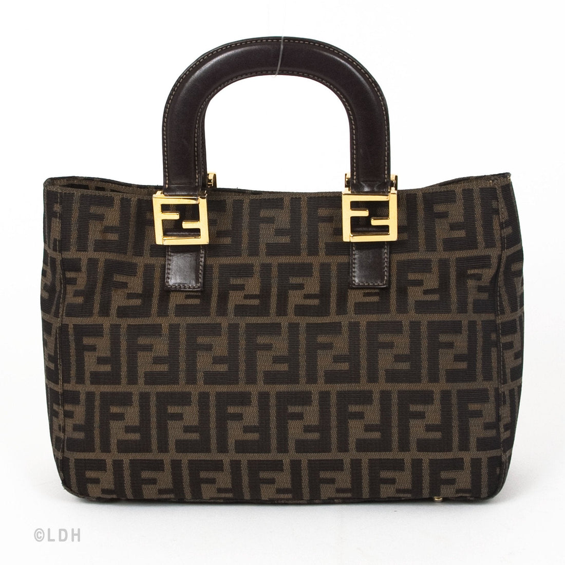 Fendi Zucca Tote (Indistinguishable)