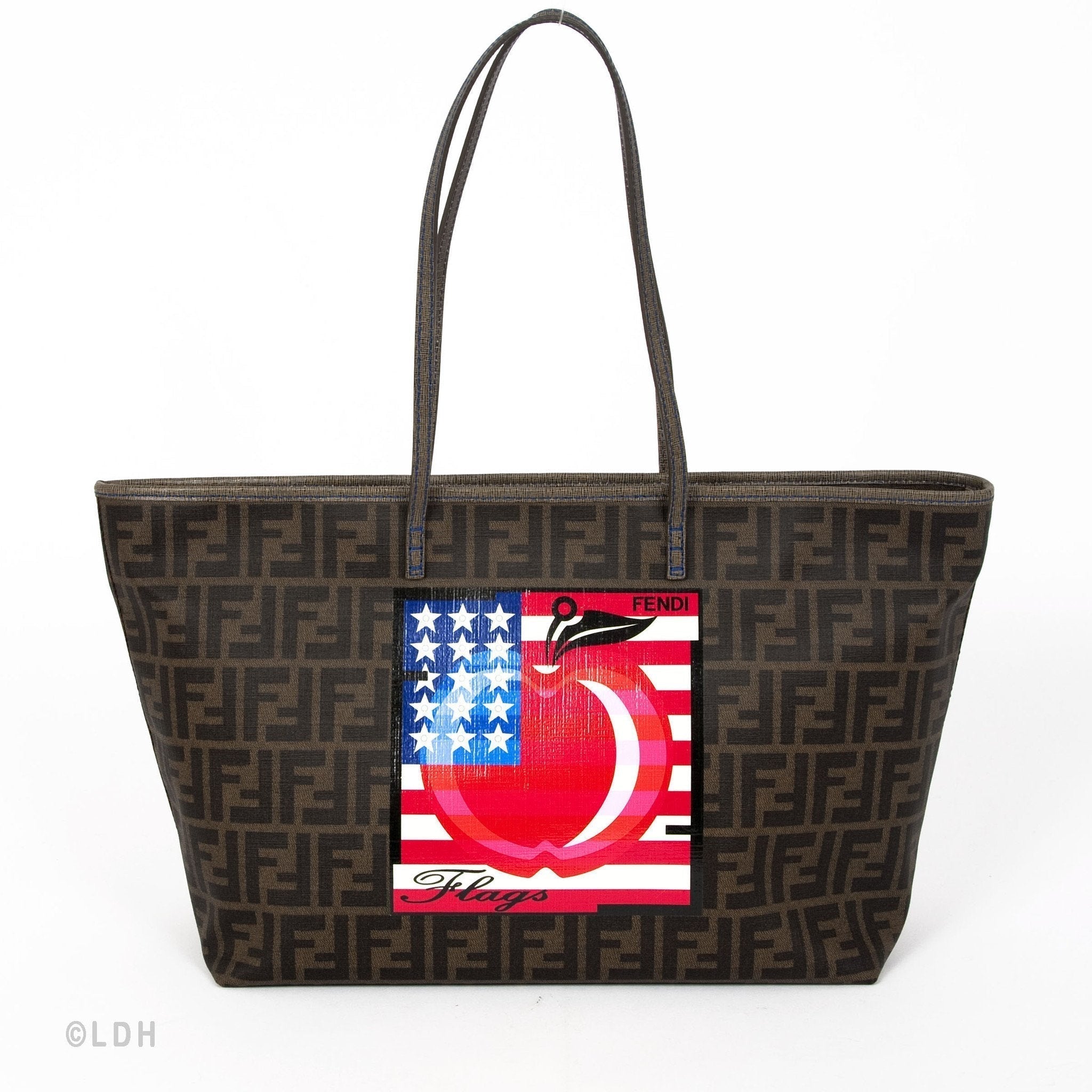 Fendi Zucca PVC Tote (Indistinguishable)