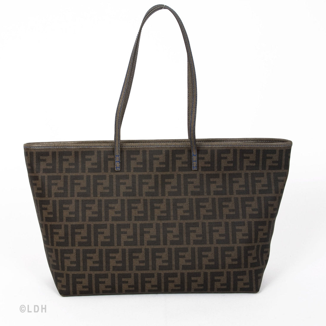 Fendi Zucca PVC Tote (Indistinguishable)