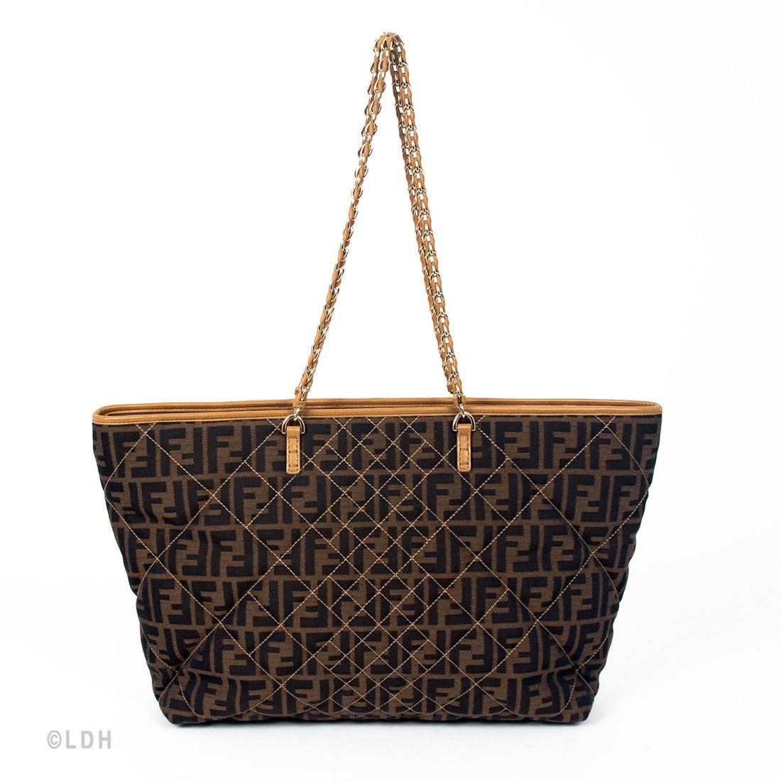 Fendi Zucca Tote (Indistinguishable)