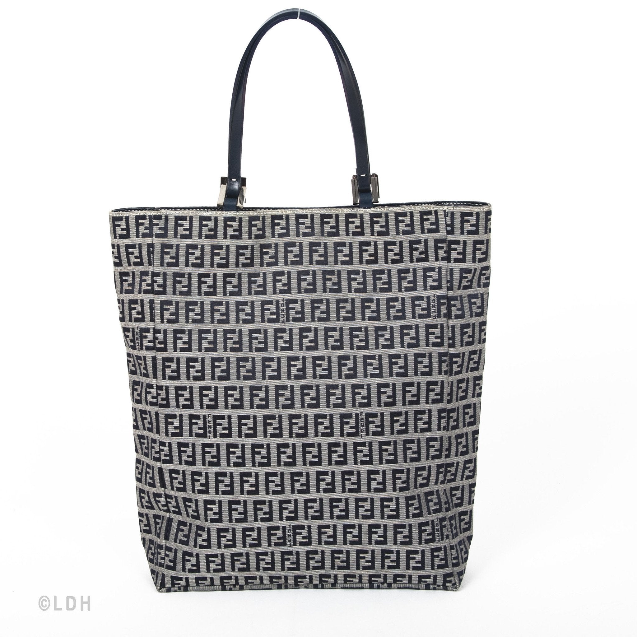 Fendi Zucca Tote (Indistinguishable)