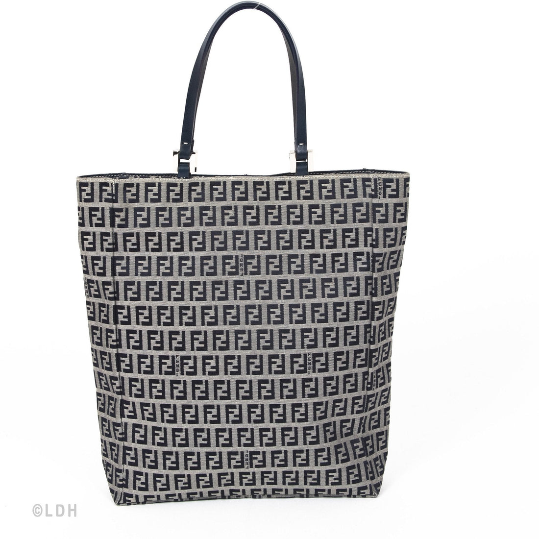 Fendi Zucca Tote (Indistinguishable)