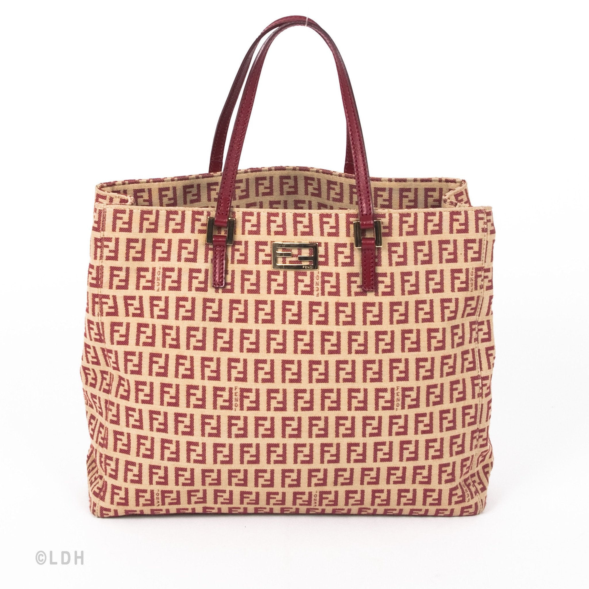 Fendi Zucca Tote (Indistinguishable)