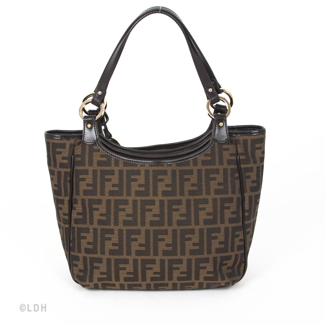 Fendi Zucca Tote (Indistinguishable)