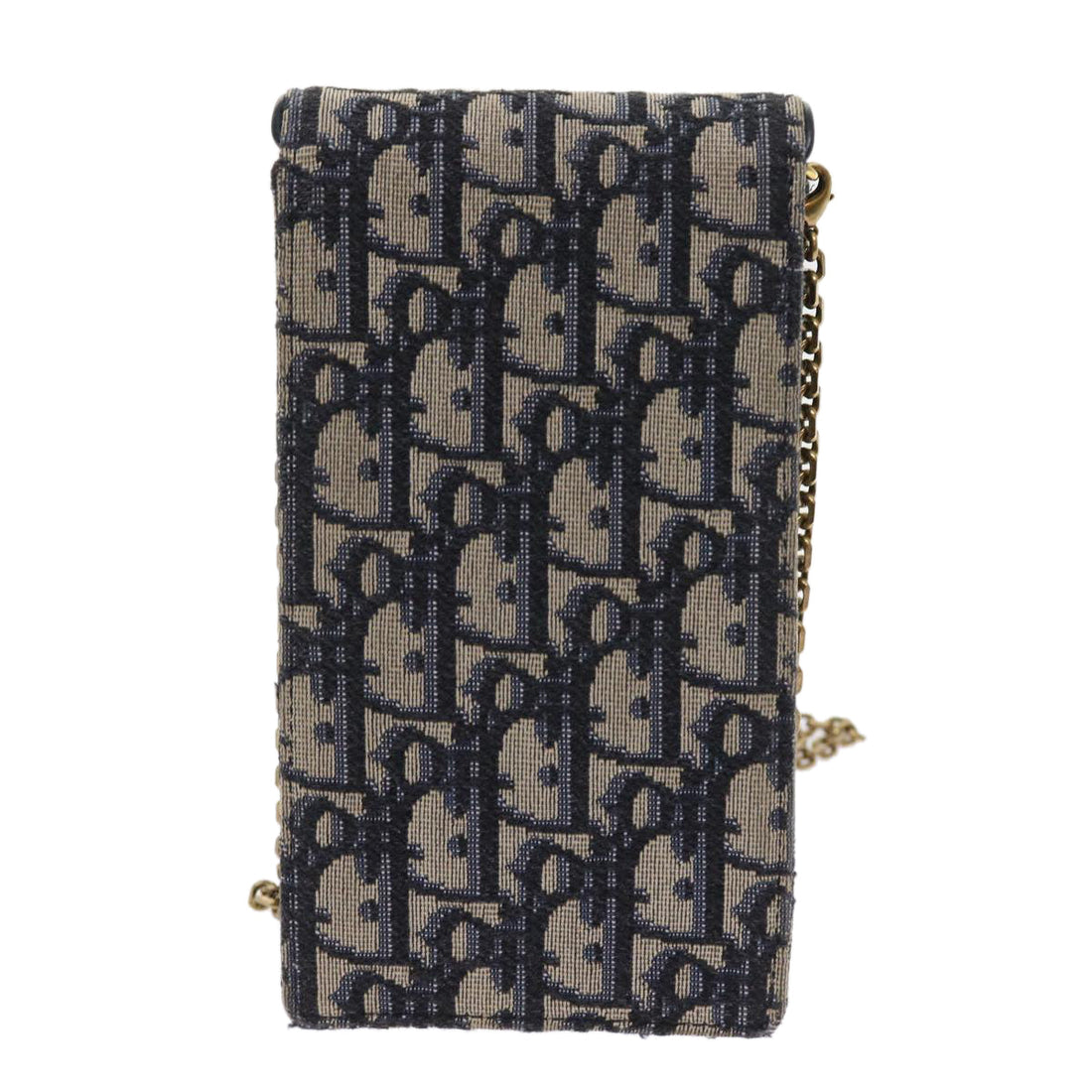 Dior Saddle Clutch Bag