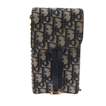 Dior Saddle Clutch Bag