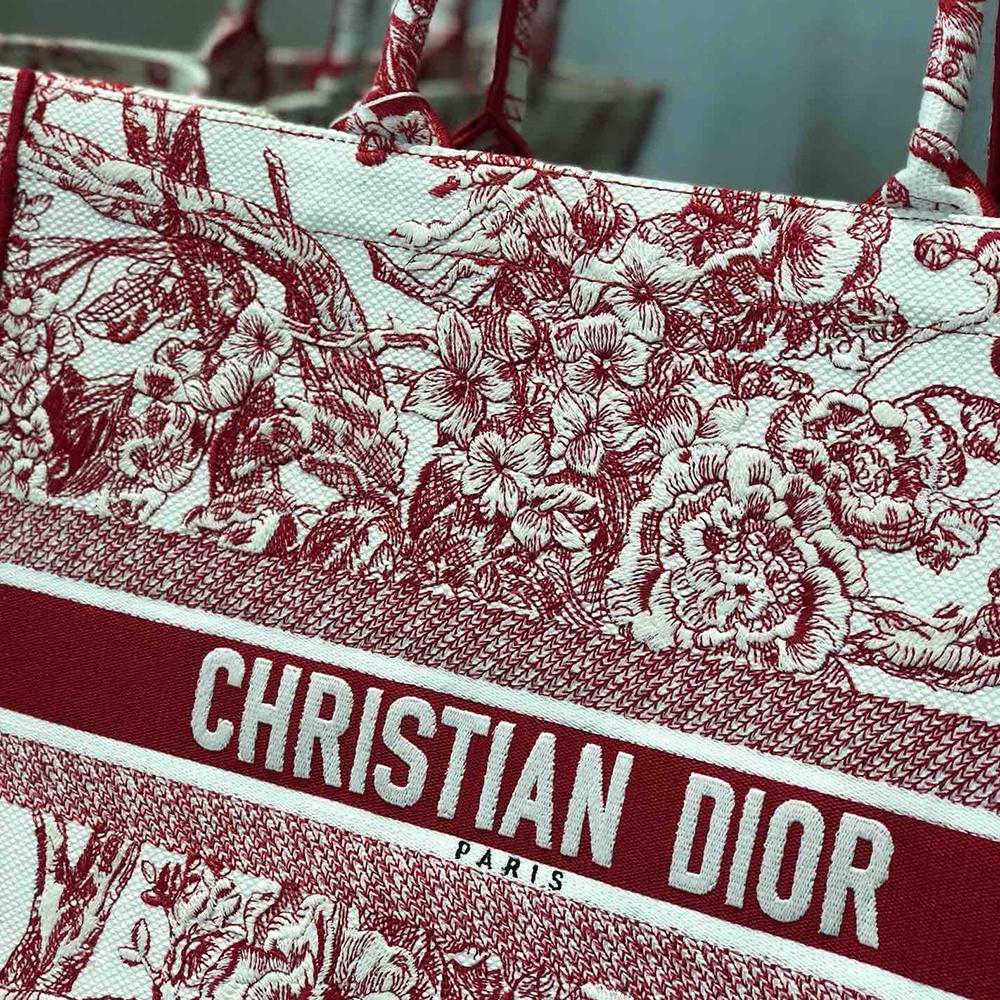 DIOR BOOK TOTE