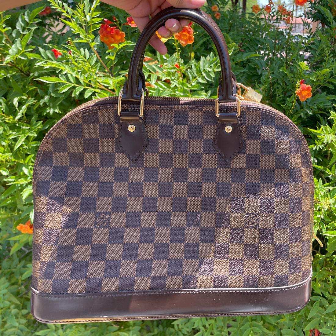 HandBag Designer By Louis Vuitton  Size: Medium