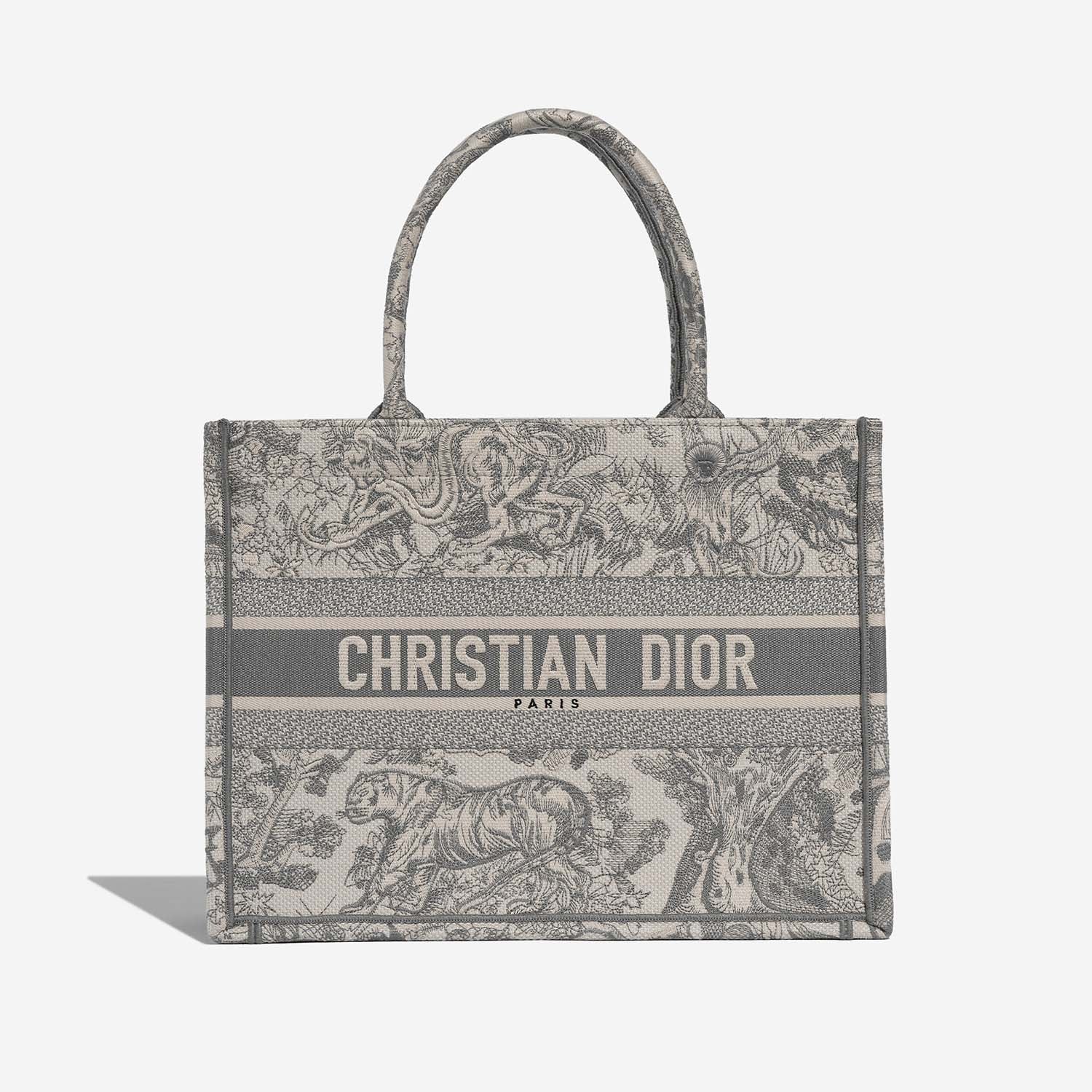Dior Book Tote Medium Canvas Bag