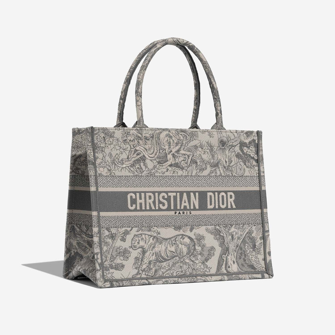 Dior Book Tote Medium Canvas Bag