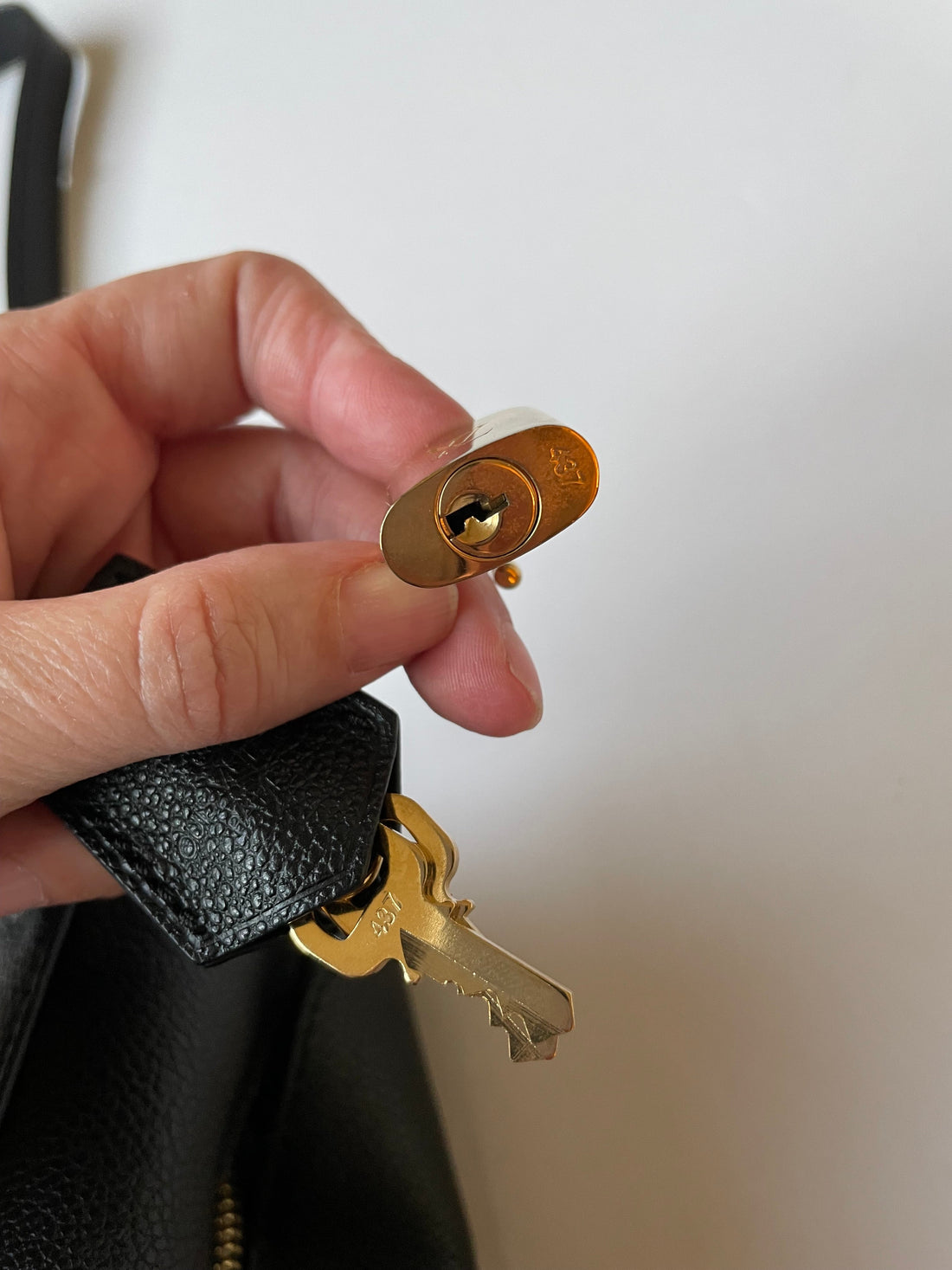 HandBag Luxury Designer Louis Vuitton, Size Large