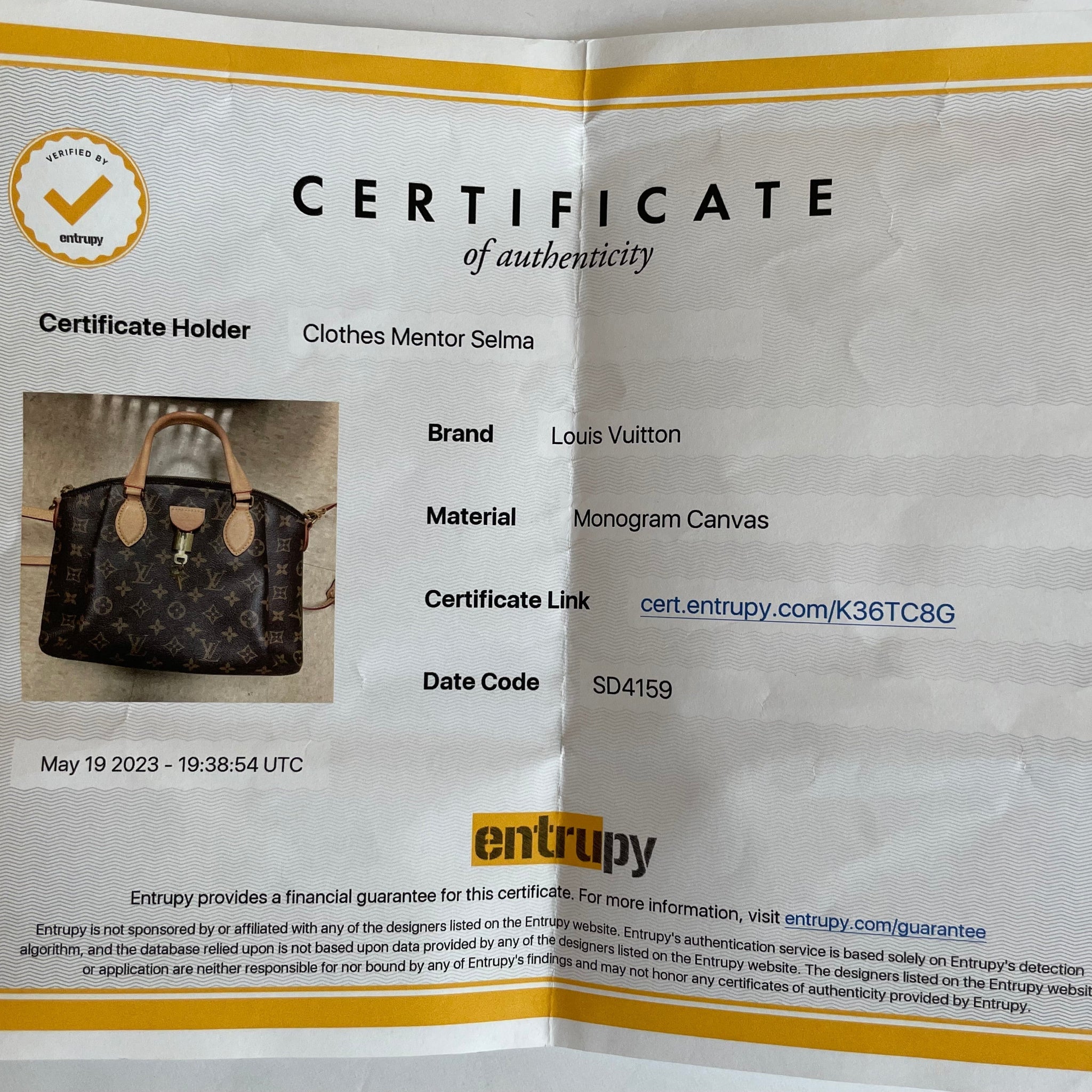 HandBag Luxury Designer Louis Vuitton