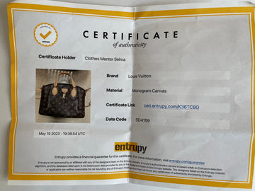 HandBag Luxury Designer Louis Vuitton