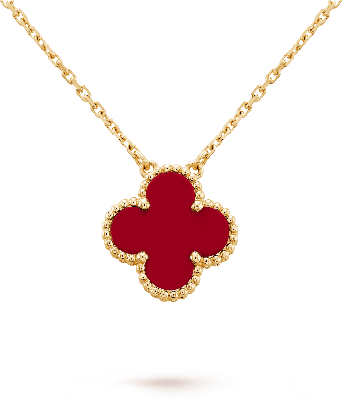 ?????? ?????????? ????????????????