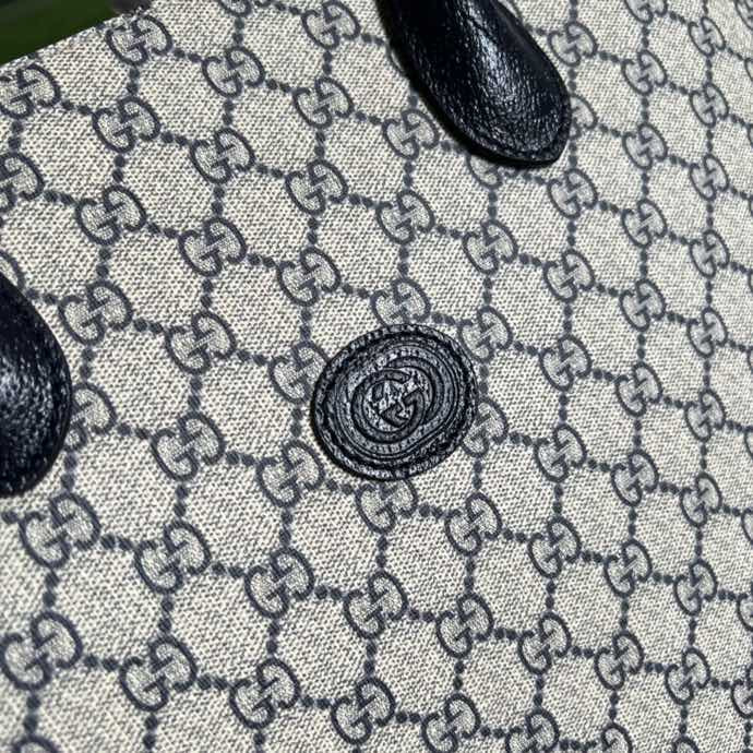 gg Tote Bag With Interlocking G Beige And Blue Supreme Canvas For Women 15in/38.5cm gg