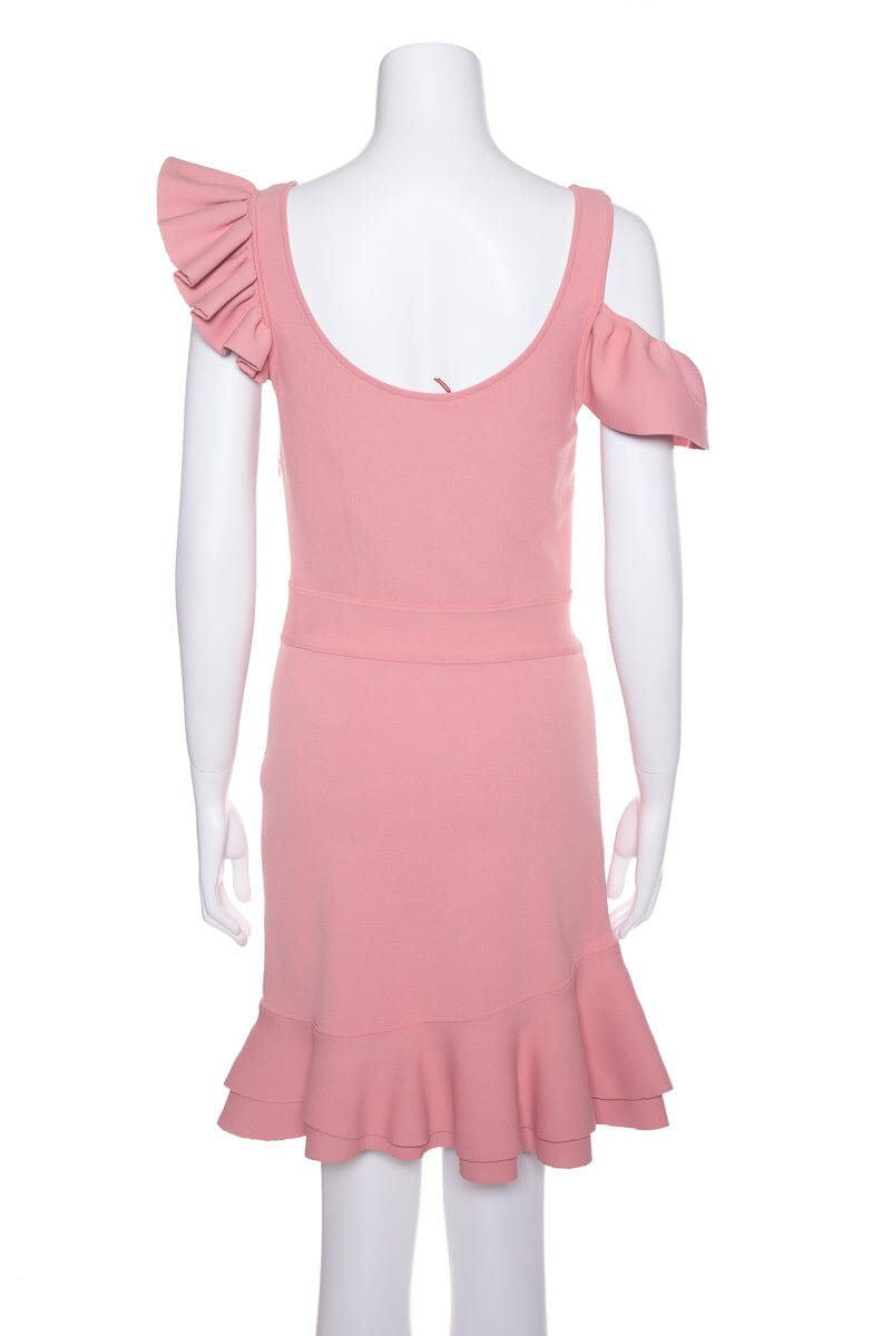 Alexander McQueen Pink Ruffle Mini Dress SZ S NWT