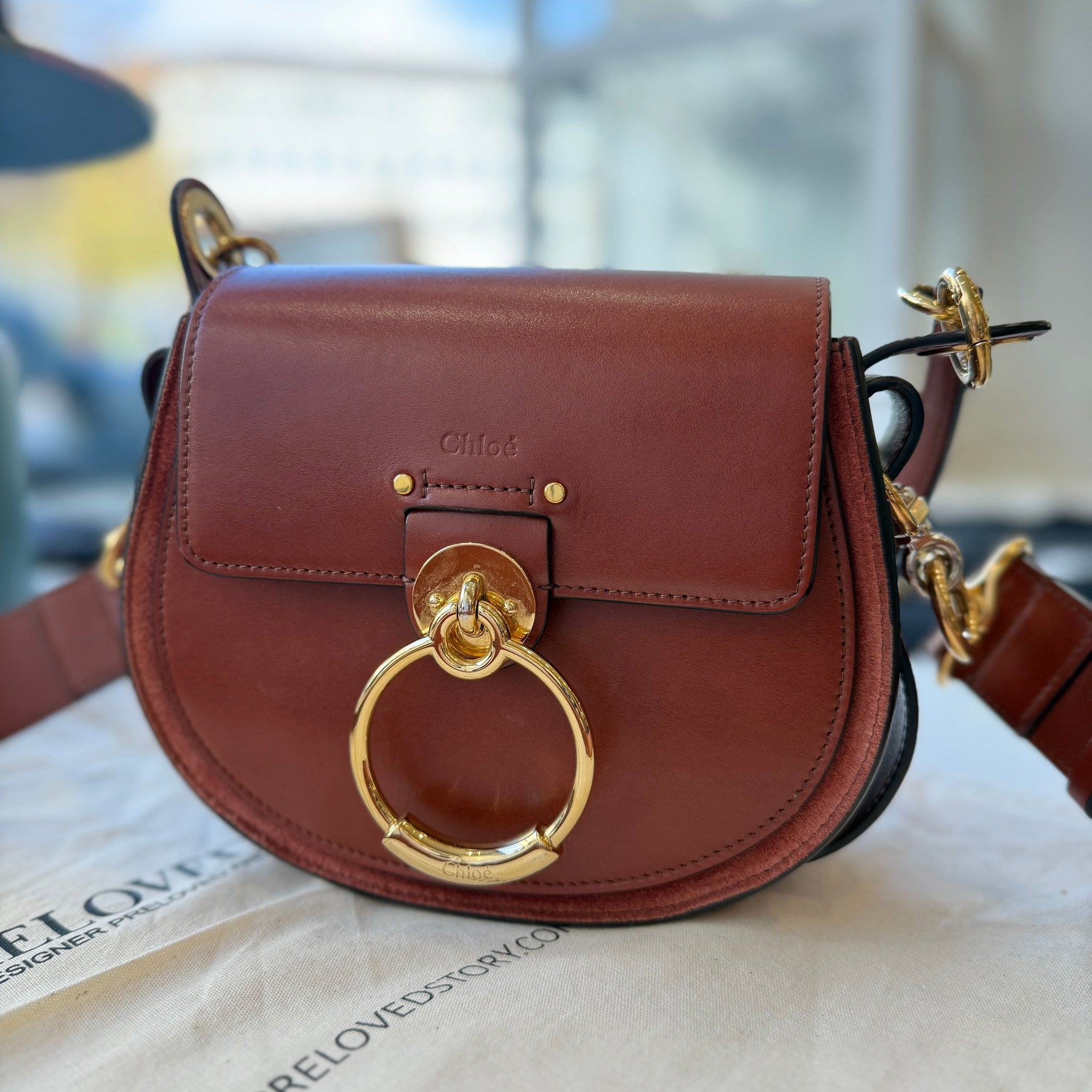 Tess Small Crossbody Bag in Sepia Brown