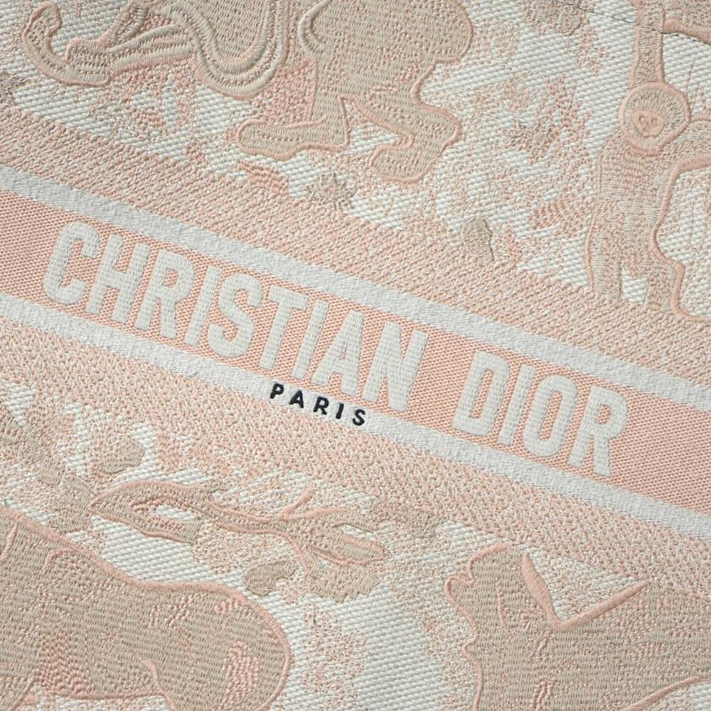 DIOR BOOK TOTE