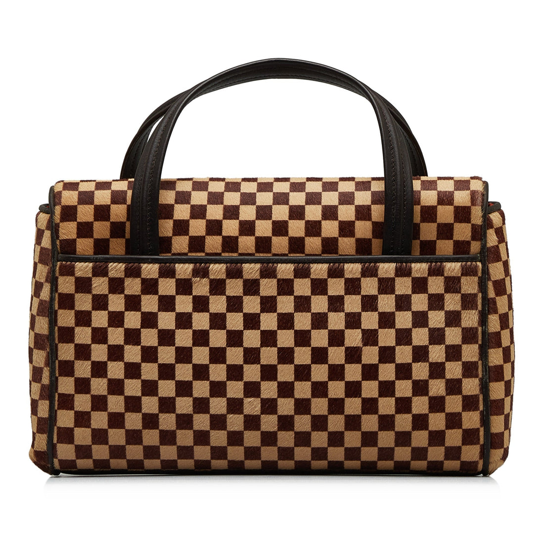 LOUIS VUITTON Damier Sauvage Lionne Handbag