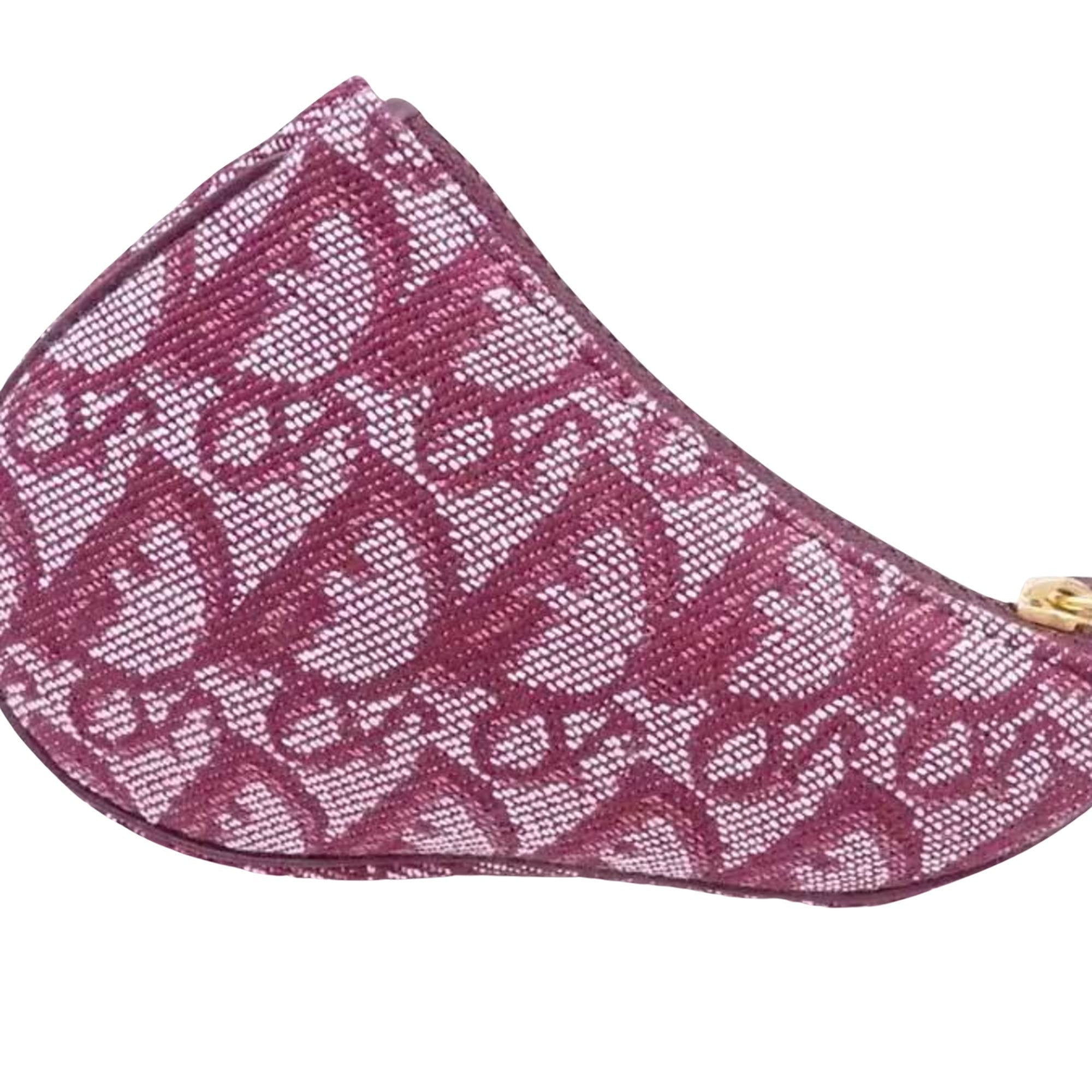 Dior Saddle Clutch Bag