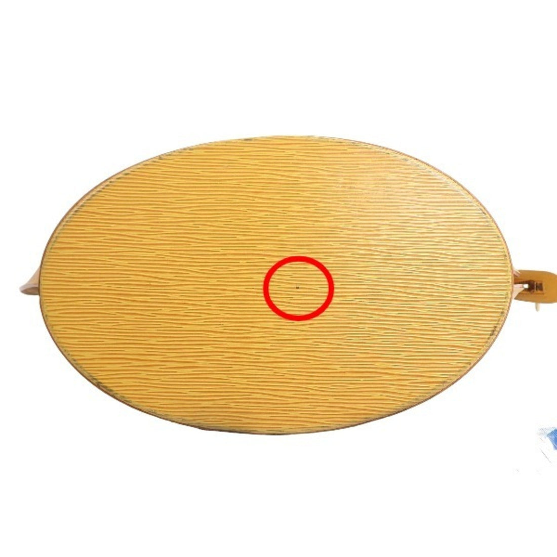 LOUIS VUITTON Saint Jacques Tote