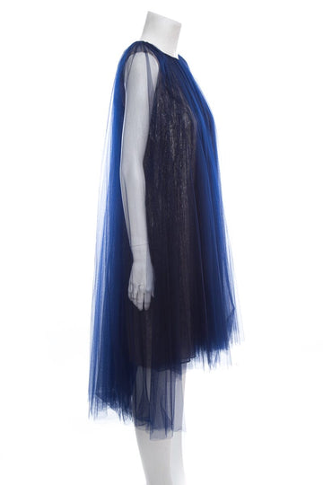 Oscar de la Renta Silver & Blue Dress SZ S