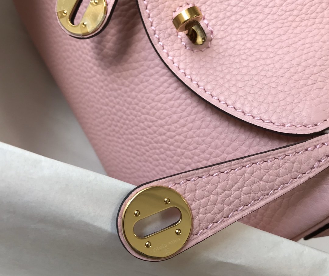 HM Lindy Mini Clemtlmce Bag Pink With Gold Hardware For Womtlm, Womtlm’s Handbags, Shoulder And Crossbody Bags 7.5in/19cm