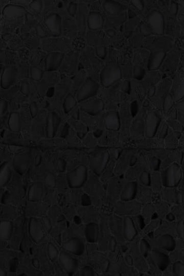 Short Sleeve Lace Dress