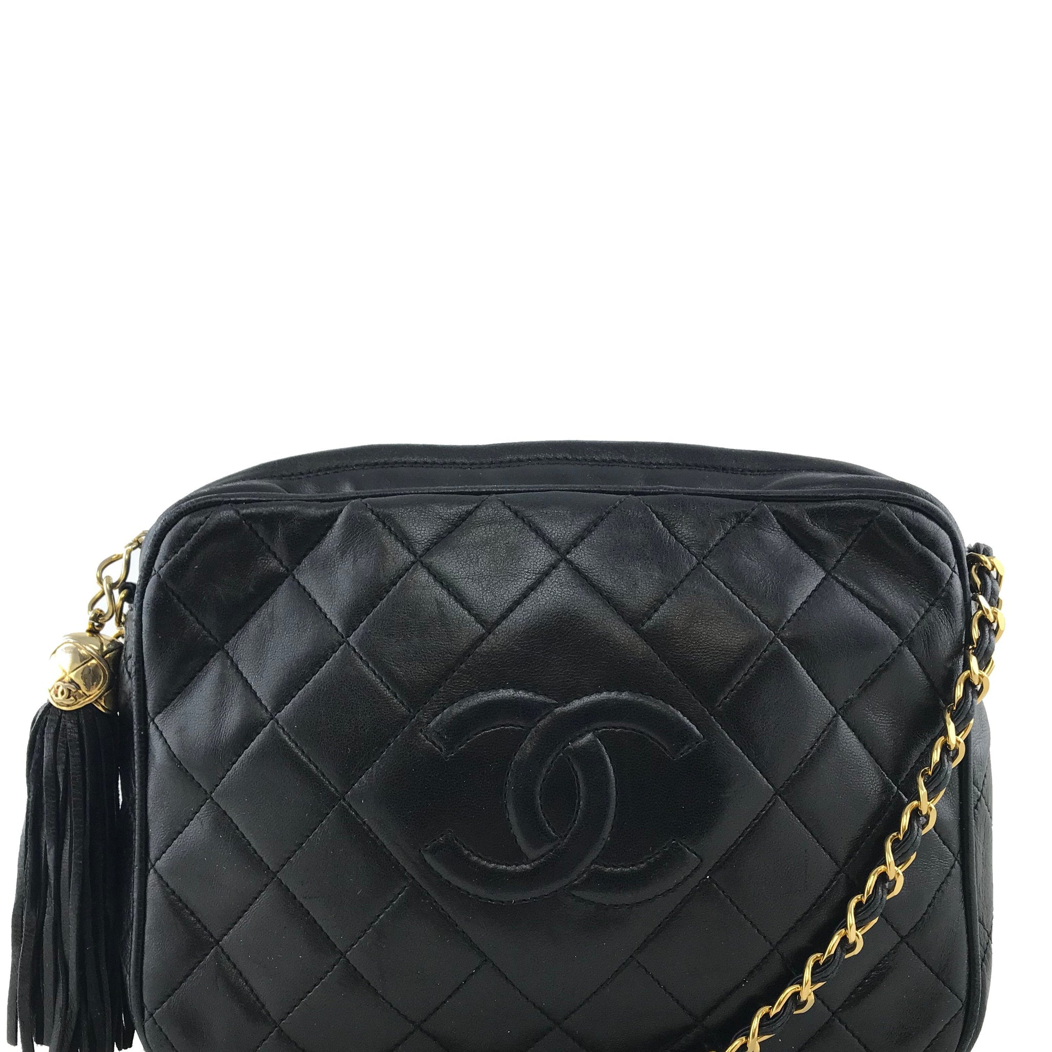 Chanel Quilted Lambskin Tassel Camera Case Bag