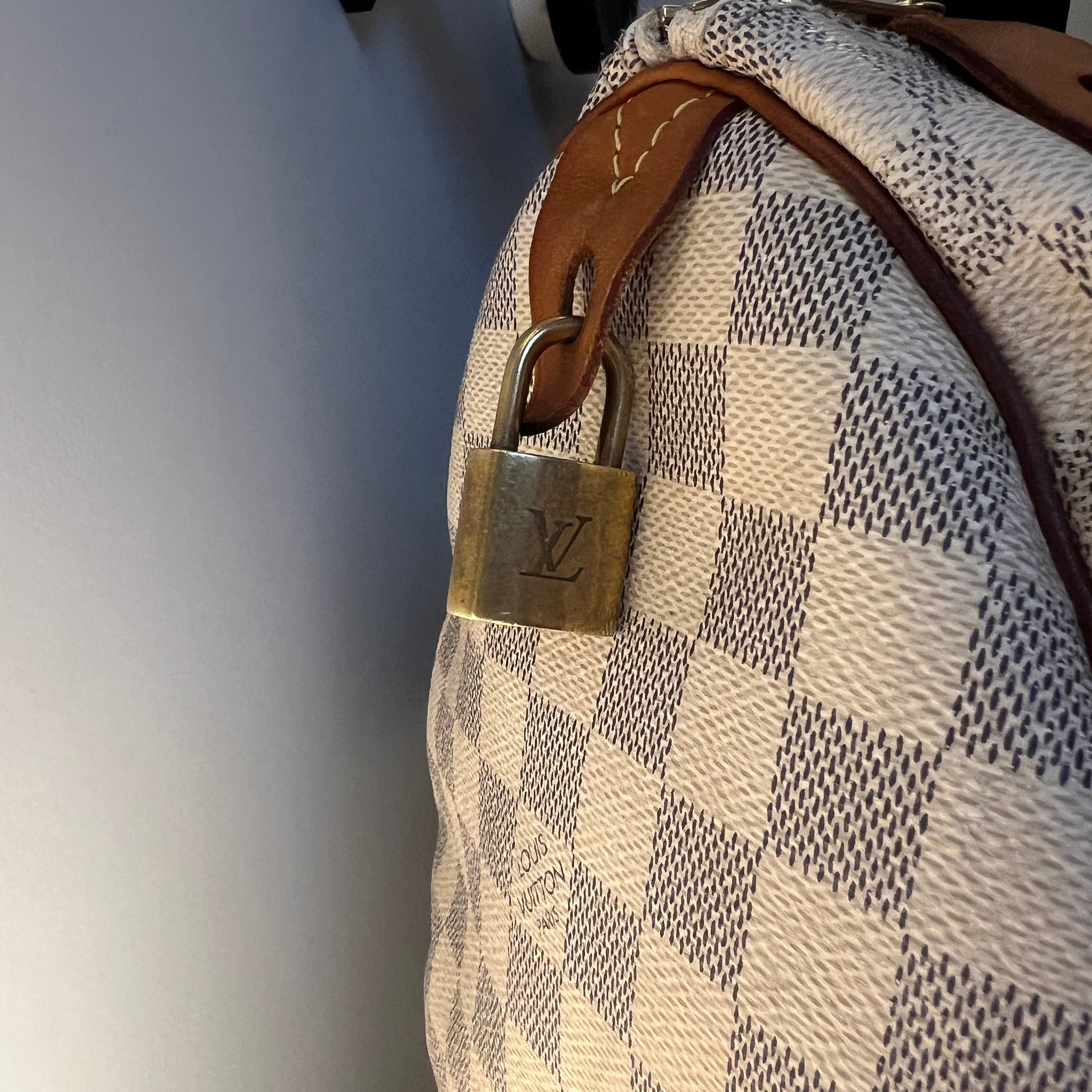 Louis Vuitton - Sac Speedy 30