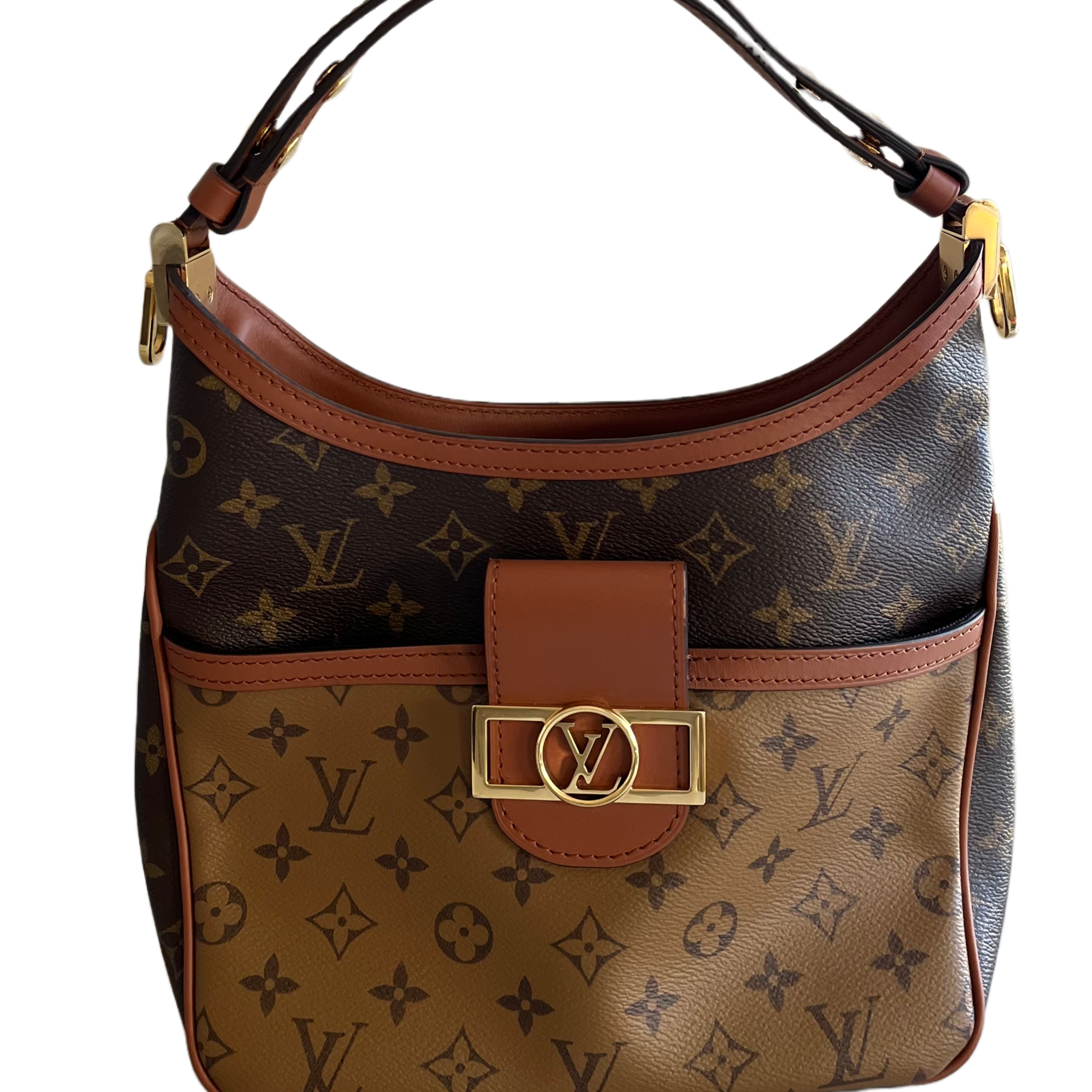 Louis Vuitton Dauphine Hobo PM Reverse Monogram