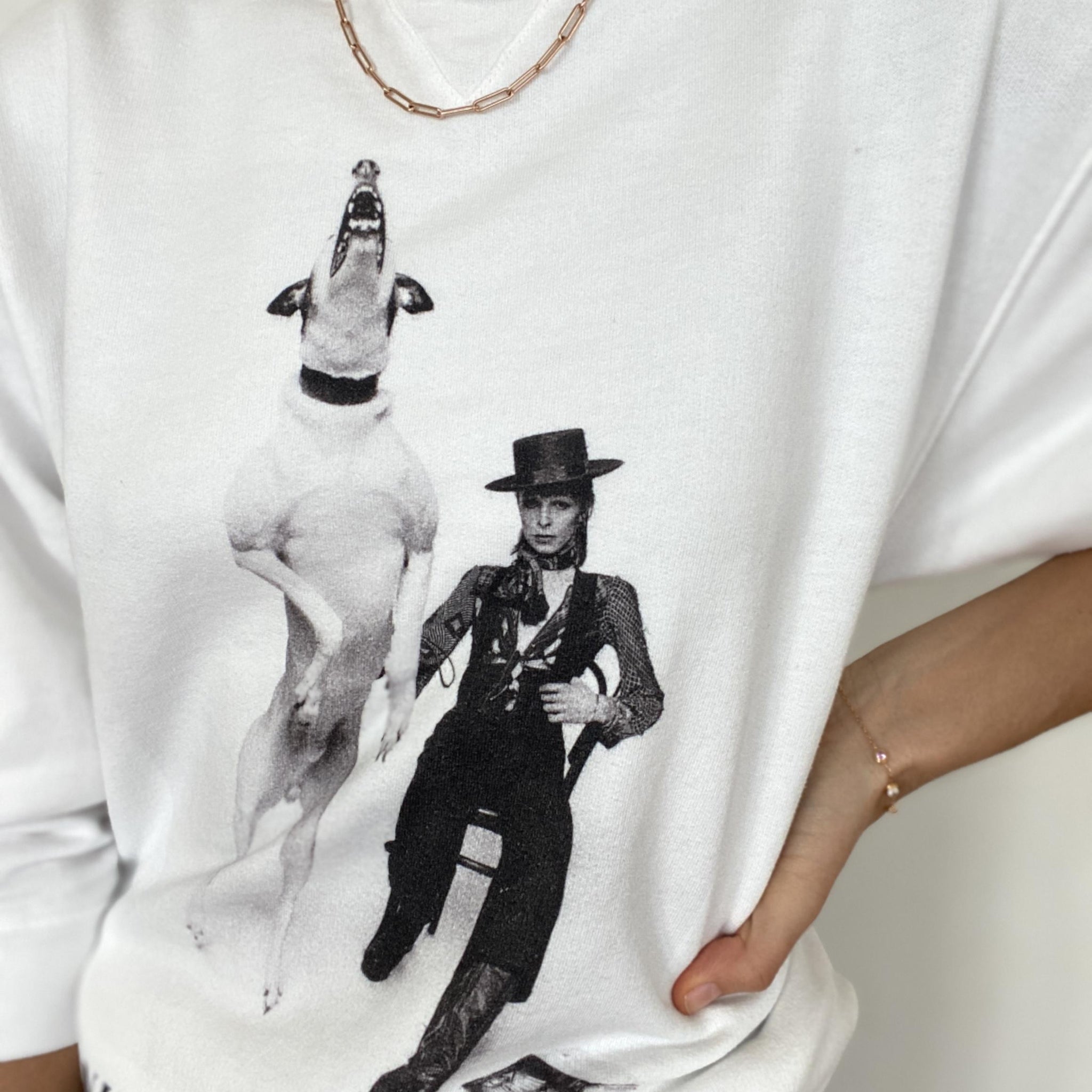 ANINE BING RAMONA SWEATSHIRT AB X TO DAVID BOWIE - SIZE XS