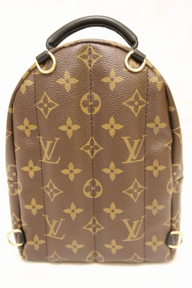 Louis Vuitton Palm Springs World Tour Backpack Mini Monogram