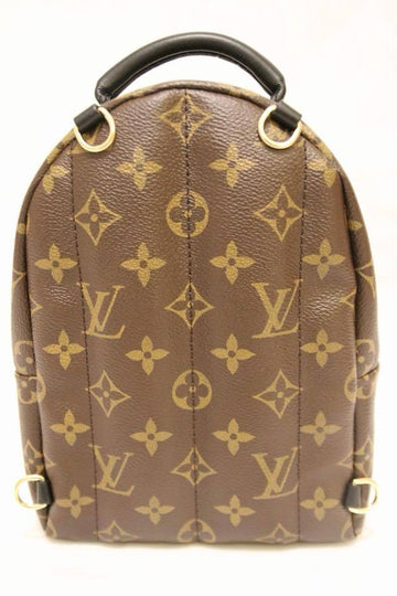 Louis Vuitton Palm Springs World Tour Backpack Mini Monogram