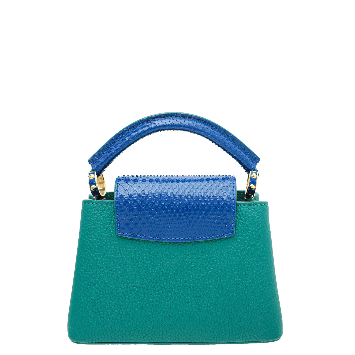 Louis Vuitton Bicolor Python Capucine Mini Bag