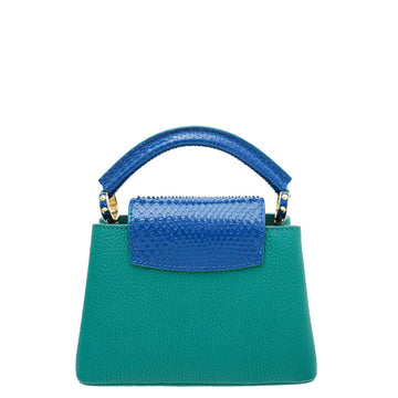 Louis Vuitton Bicolor Python Capucine Mini Bag