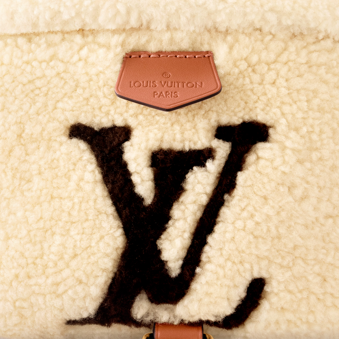 Louis Vuitton Monogram Bumbag LV SKI M23715