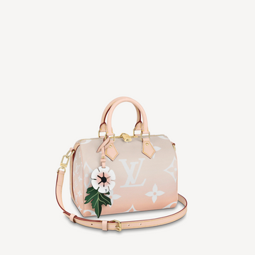 Louis Vuitton Speedy Bandouliere 25 M45722