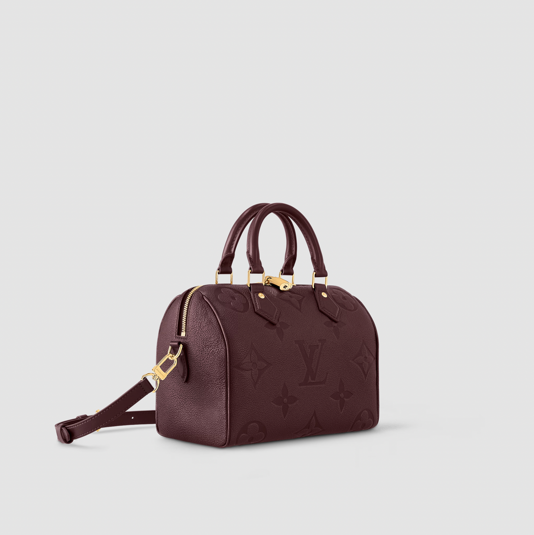 Louis Vuitton Wine Speedy Bandouliere 25 M46646