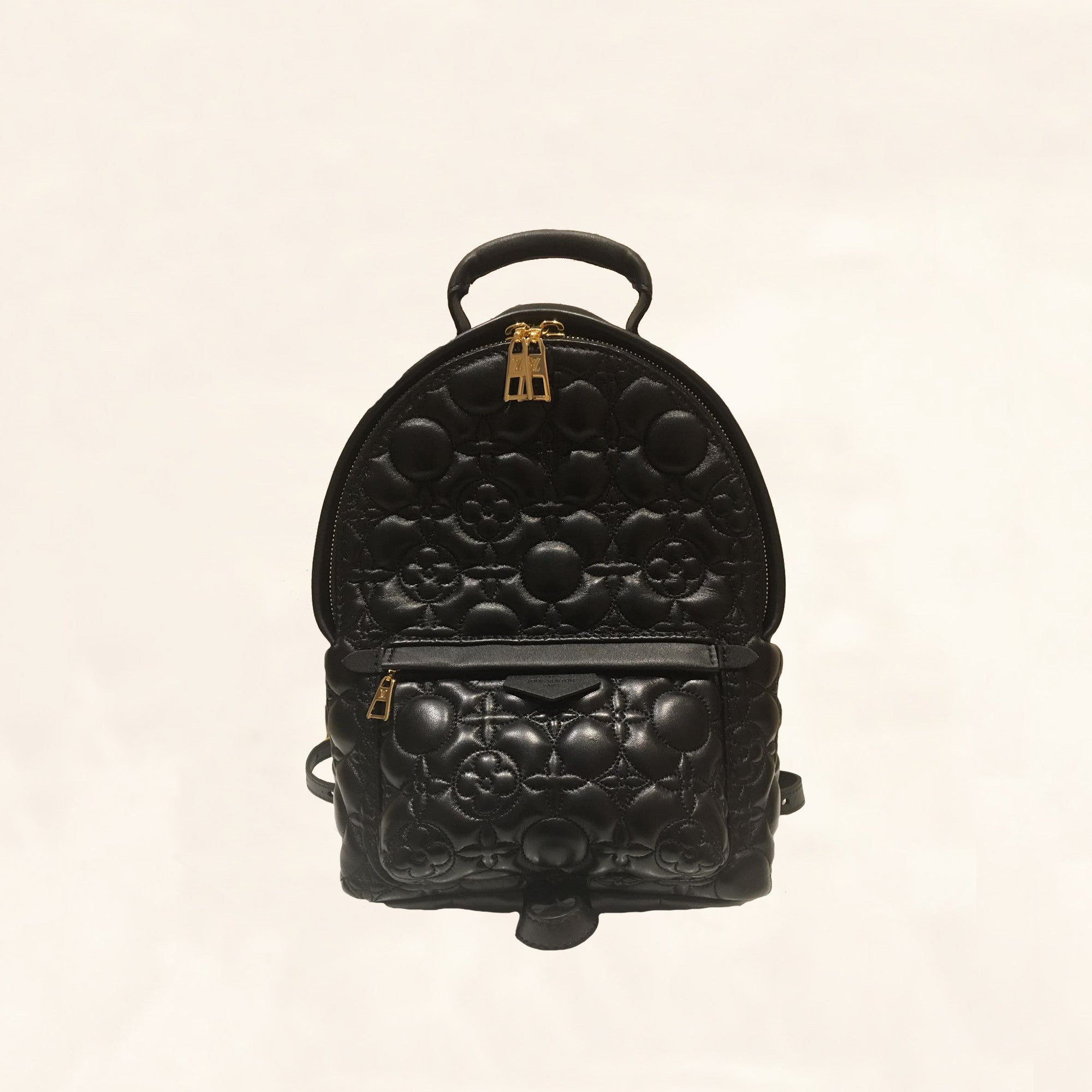 Louis Vuitton | Embroidered Lambskin Palm Springs BackPack | PM