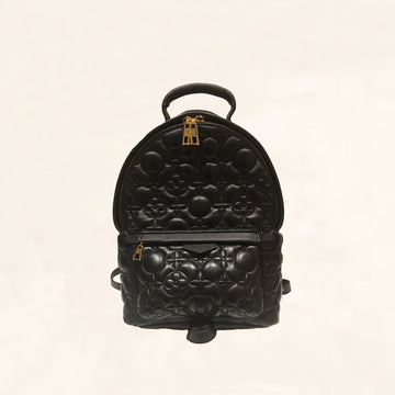 Louis Vuitton | Embroidered Lambskin Palm Springs BackPack | PM