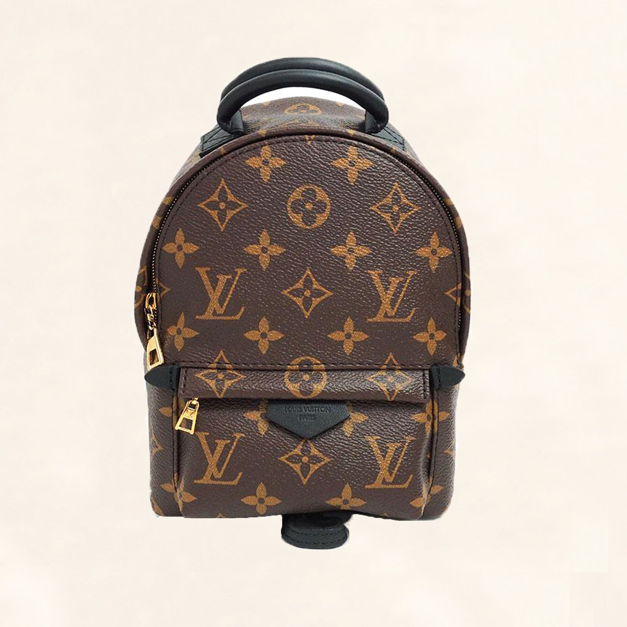 Louis Vuitton Palm Springs Backpack Mini M41562
